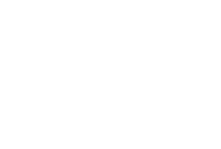 bv